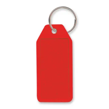 Budget Key Ring - image 3