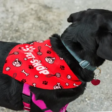 Pet Bandana - Large - image 2