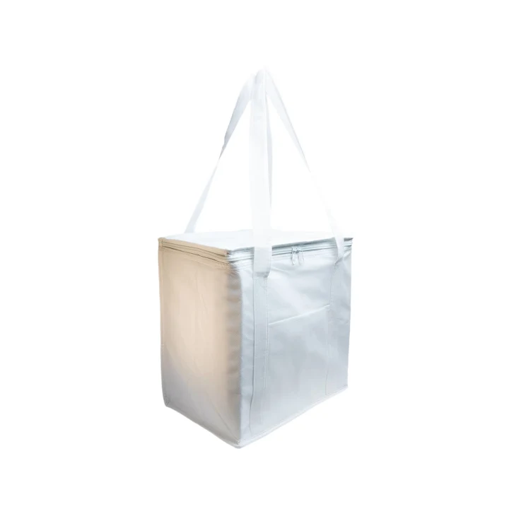Tundra Cooler / Shopping Bag - image 23