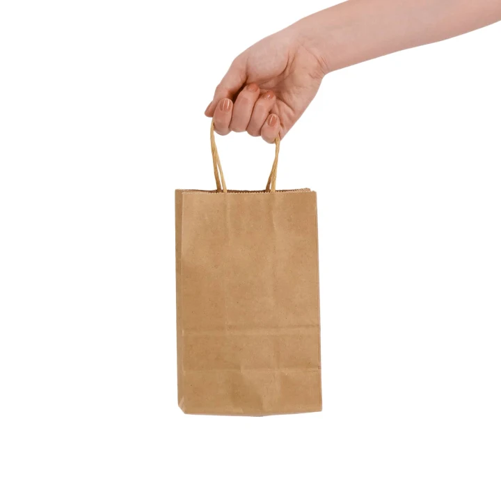 Express Paper Bag Small - image 2