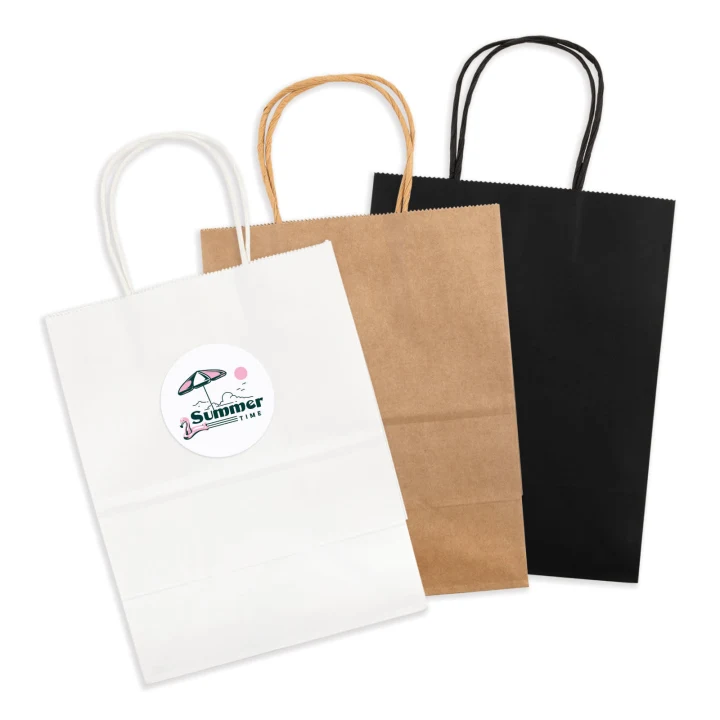 Express Paper Bag Medium - image 1