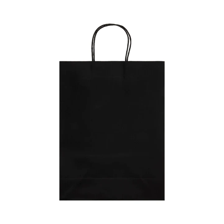 Express Paper Bag Large - image 8