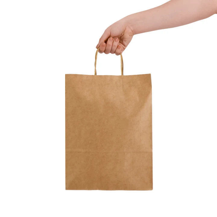 Express Paper Bag Large - image 4