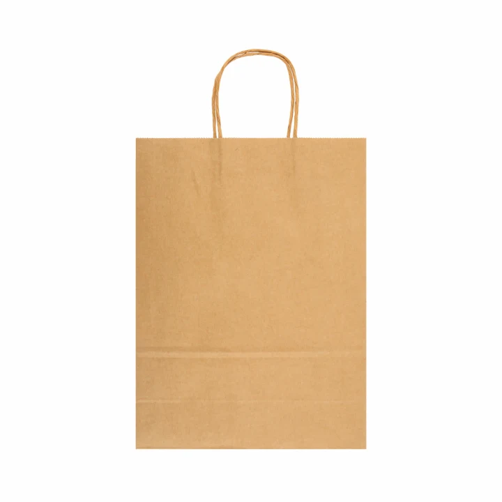 Express Paper Bag Large - image 9