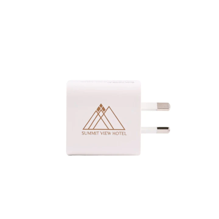Paramount Wall Charger - image 3