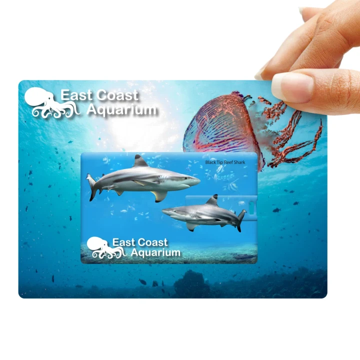 Credit Card Flash Drive - image 2