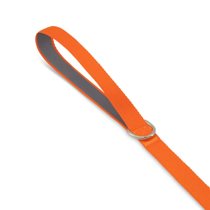 Printed Dog Lead - image 4