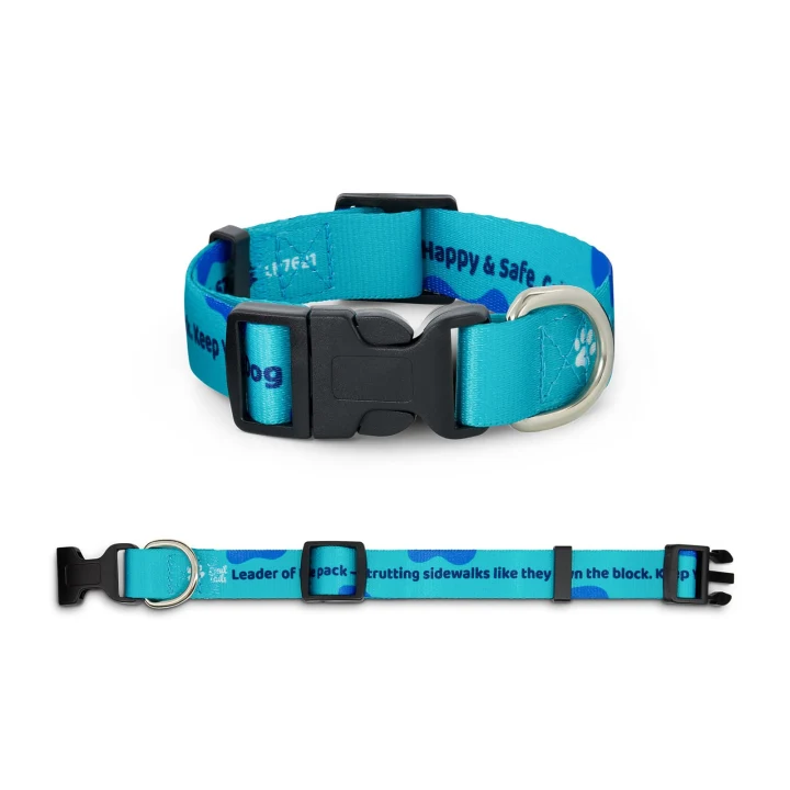 Sublimated Dog Collar - image 1