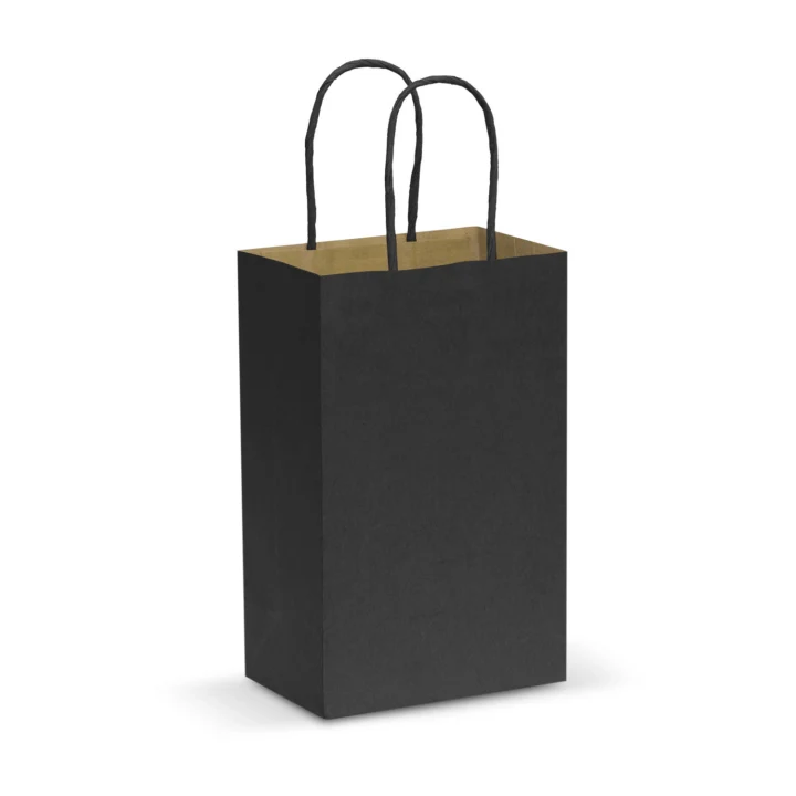 Paper Carry Bag - Small - image 5