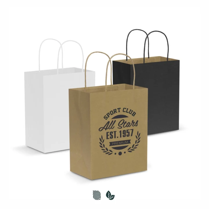 Paper Carry Bag - Medium - image 1