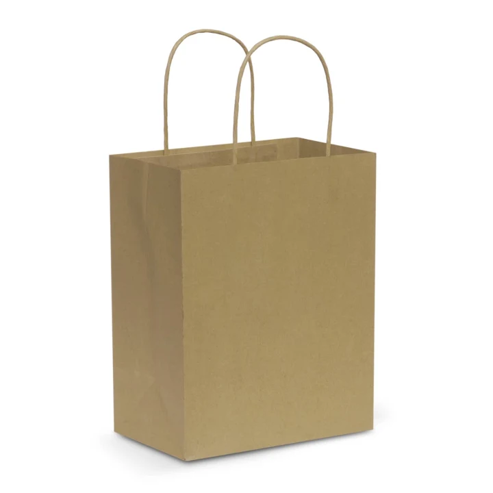 Paper Carry Bag - Medium - image 3