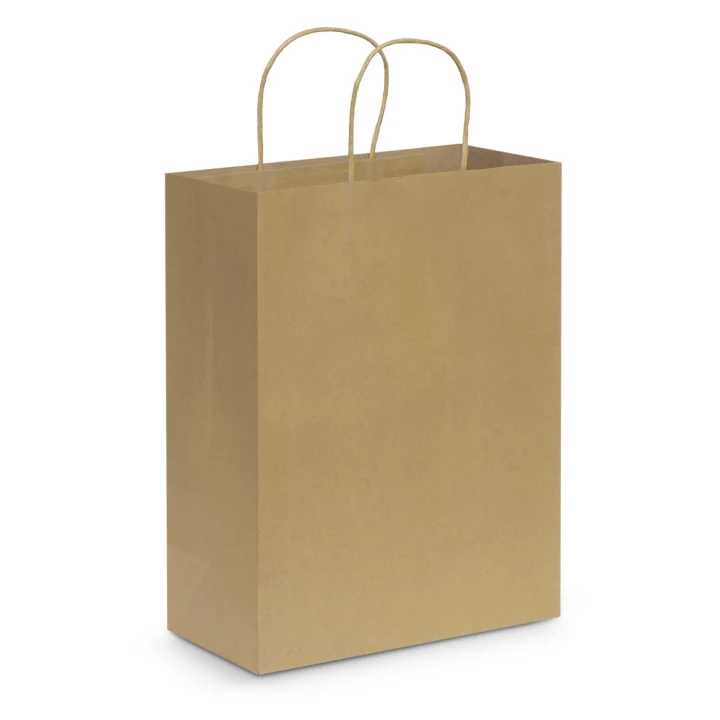 Paper Carry Bag - Large - image 3