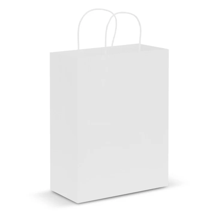 Paper Carry Bag - Large - image 4