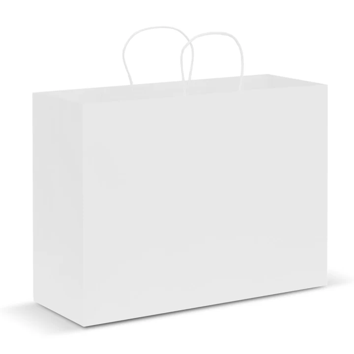 Paper Carry Bag - Extra Large - image 4