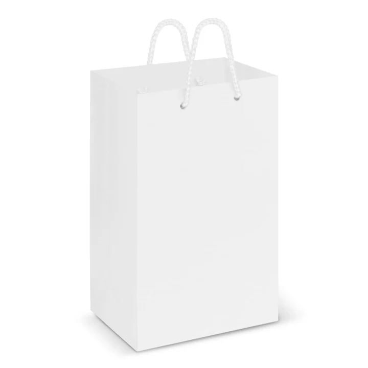 Laminated Carry Bag - Small - image 2