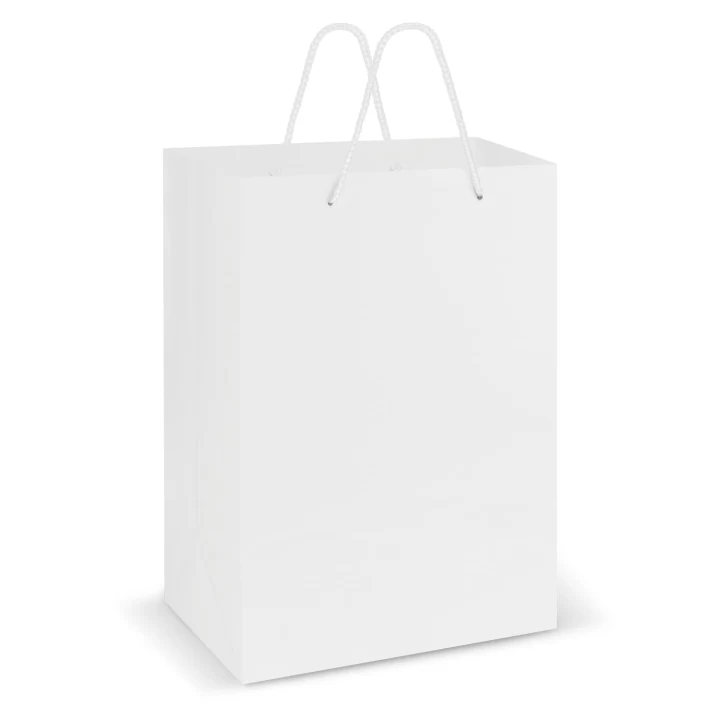 Laminated Carry Bag - Large - image 2