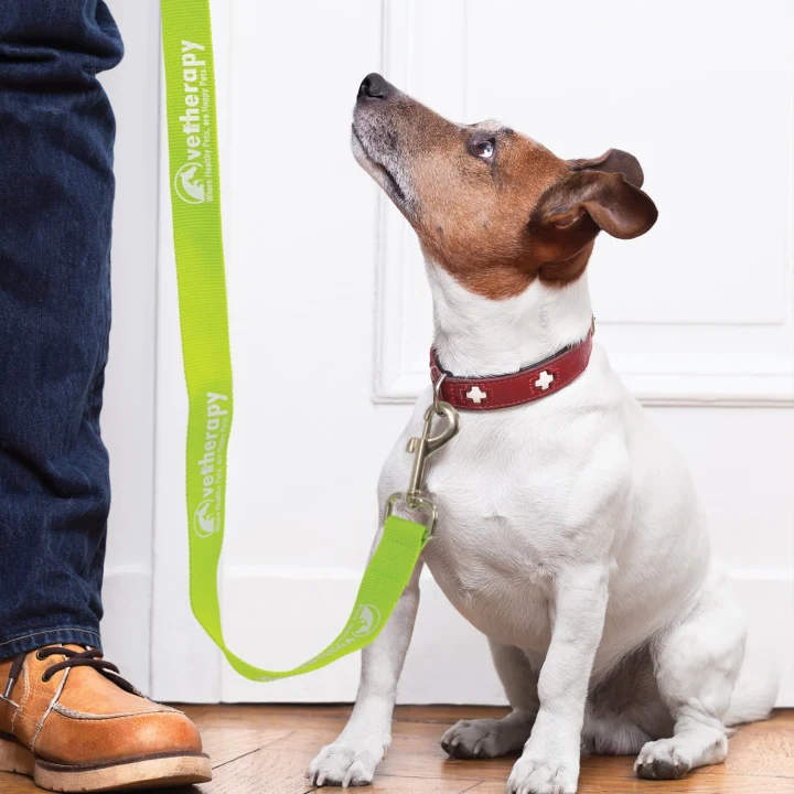 Trek Dog Leash - image 14