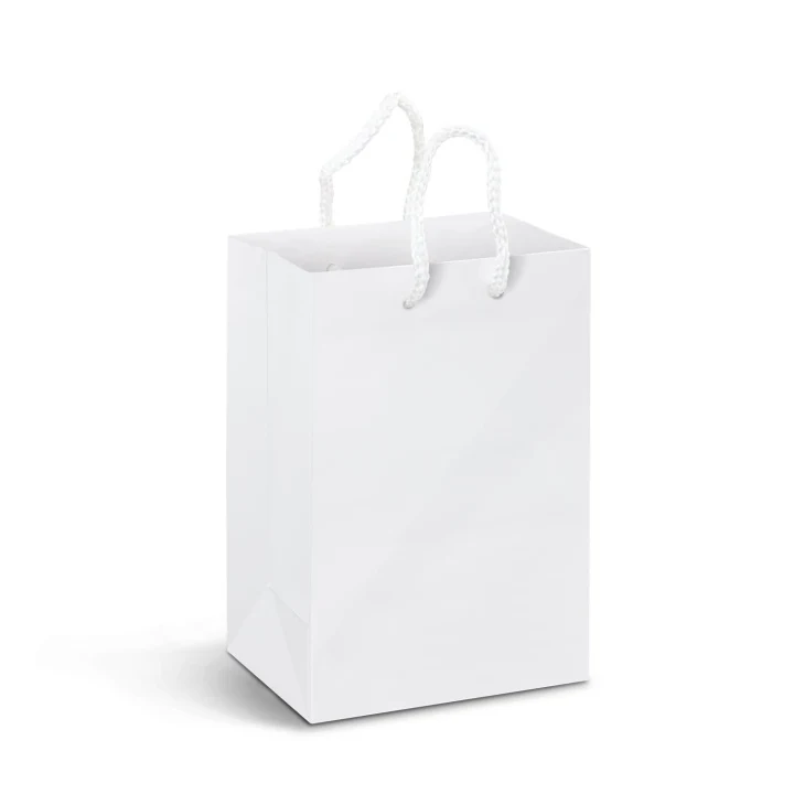 Small Laminated Paper Carry Bag - Full Colour - image 2
