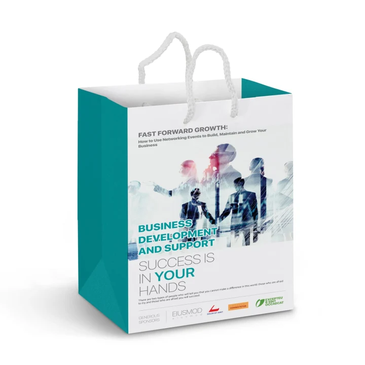 Medium Laminated Paper Carry Bag - Full Colour - image 1