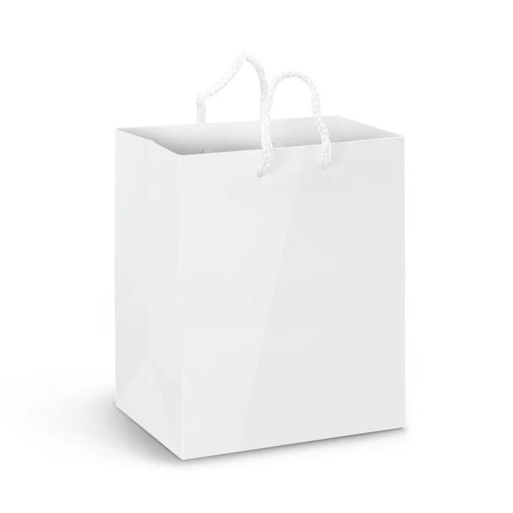 Medium Laminated Paper Carry Bag - Full Colour - image 2