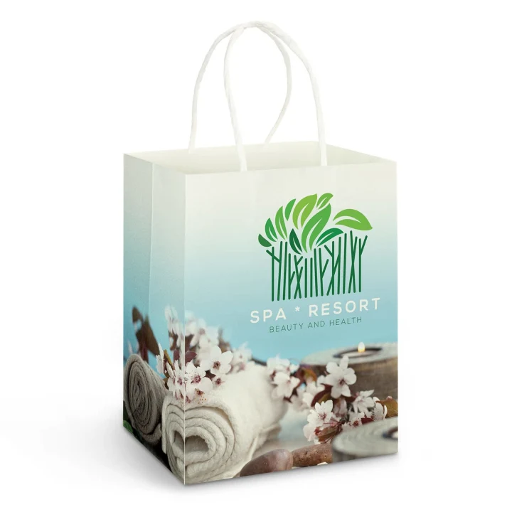 Large Paper Carry Bag - Full Colour - image 1