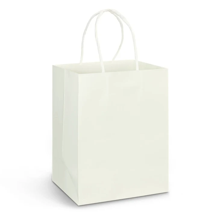 Large Paper Carry Bag - Full Colour - image 2