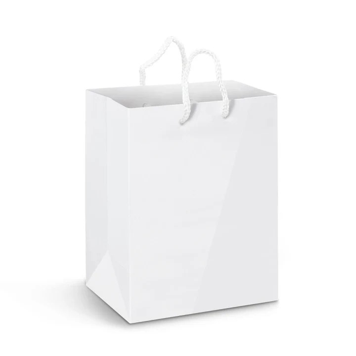 Large Laminated Paper Carry Bag - Full Colour - image 2