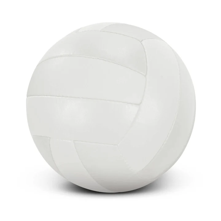 Volleyball Pro - image 2