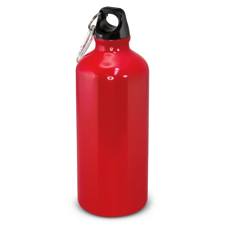 Intrepid Bottle - 600ml - image 3