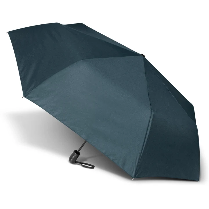 Economist Umbrella - image 2