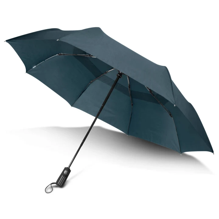 Director Umbrella - image 2