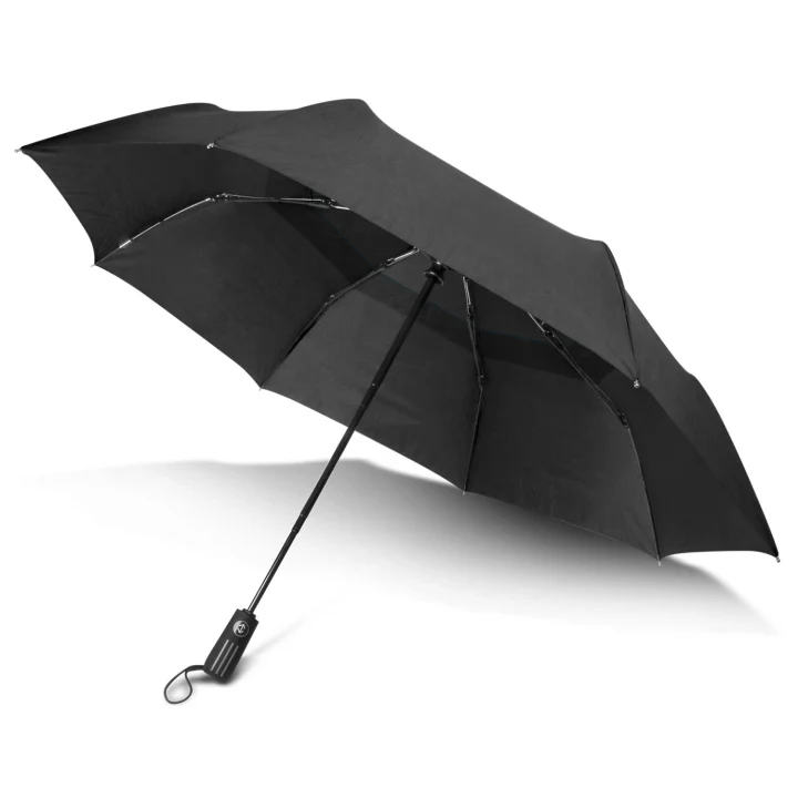 Director Umbrella - image 4