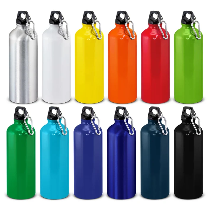 Intrepid Bottle - 800ml - image 1