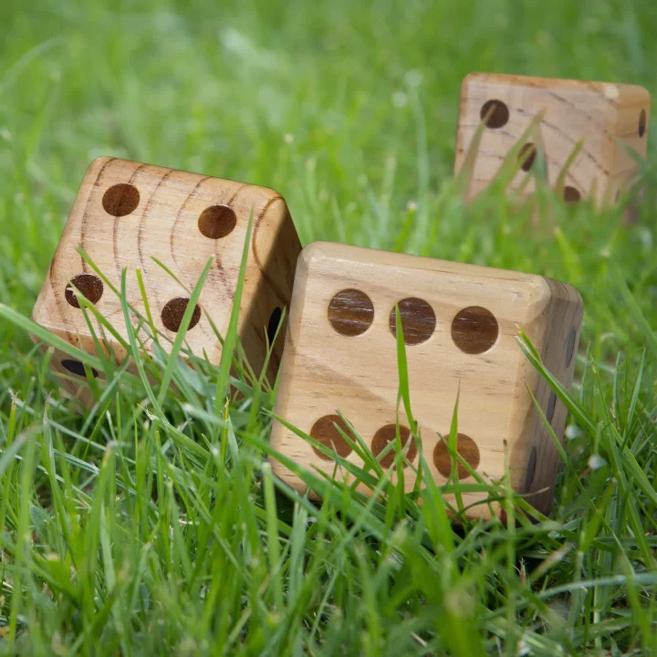 Wooden Yard Dice Game - image 5