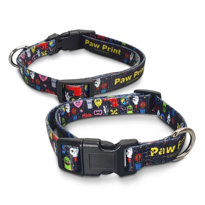 Amigo Dog Collar - image 1