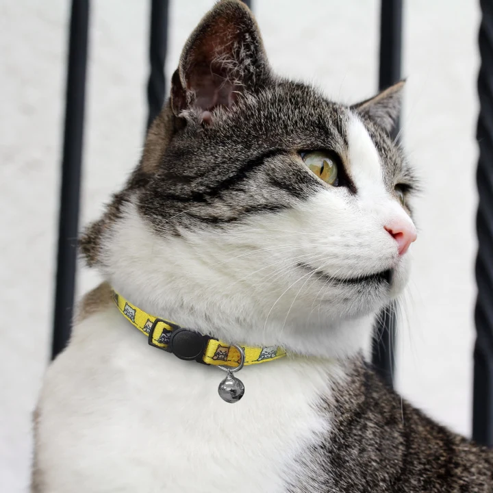 Amigo Cat Collar - image 6
