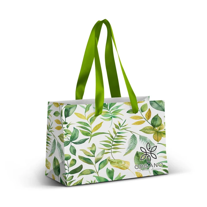 Small Ribbon Handle Paper Bag - Full Colour - image 1