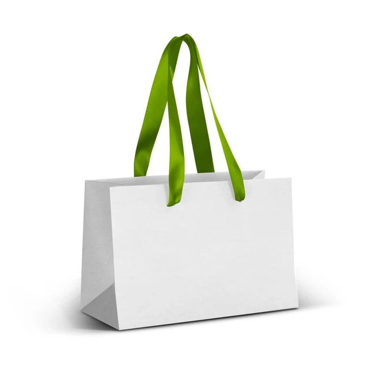 Small Ribbon Handle Paper Bag - Full Colour - image 2