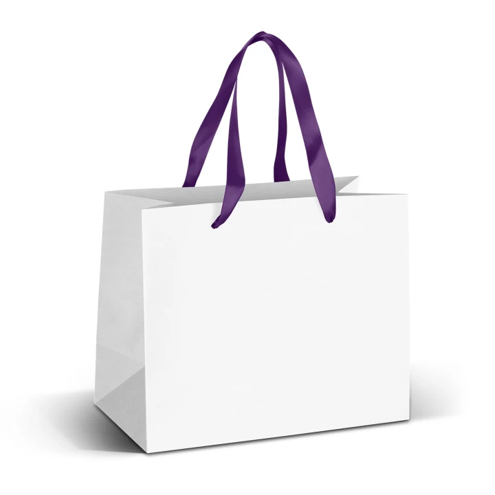 Medium Ribbon Handle Paper Bag - Full Colour - image 2
