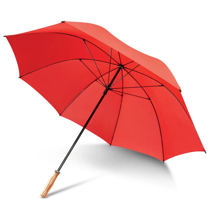 Pro Umbrella - image 3
