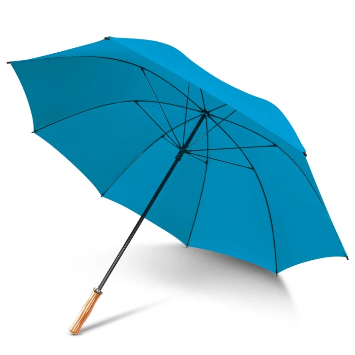 Pro Umbrella - image 4