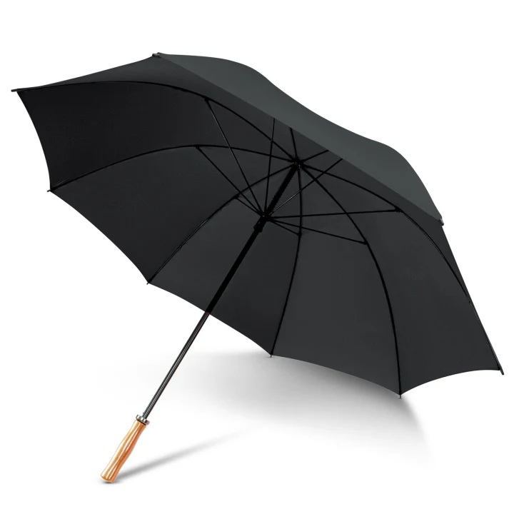 Pro Umbrella - image 7