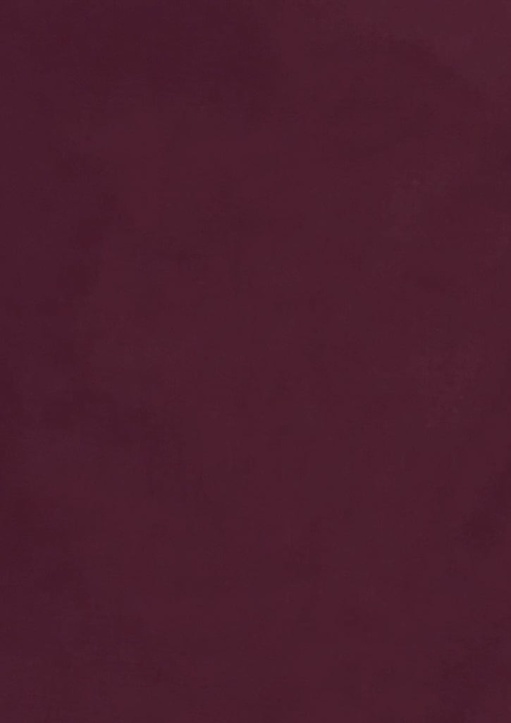 Womens Hudson Long Sleeve Shirt FA-40310