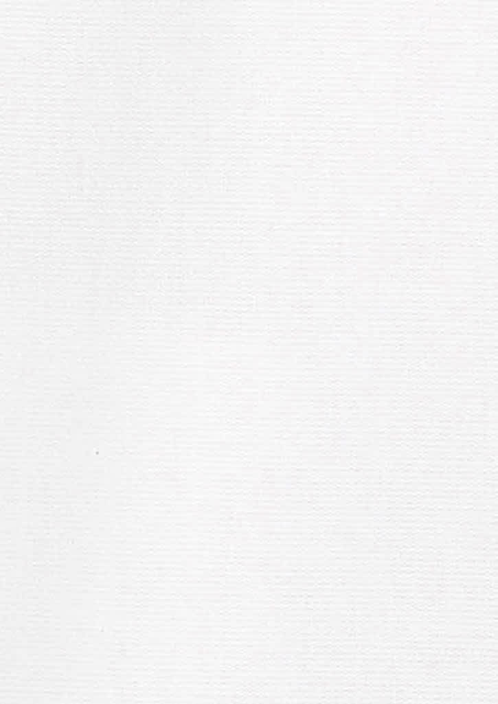 Mens Hudson Long Sleeve Shirt FA-40320