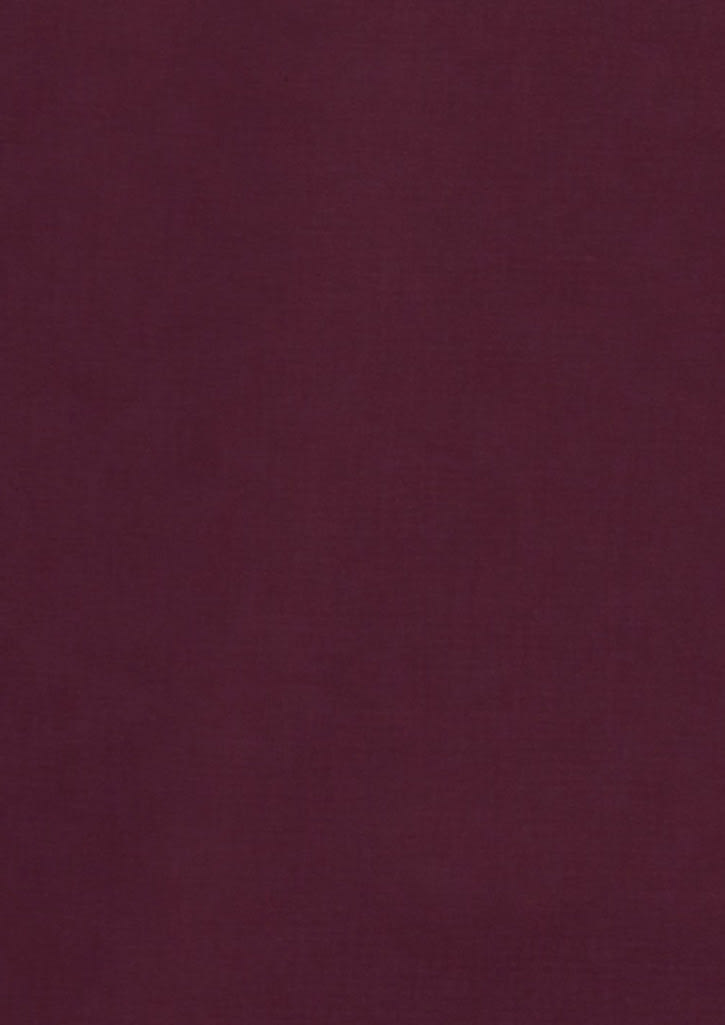 Mens Hudson Long Sleeve Shirt FA-40320