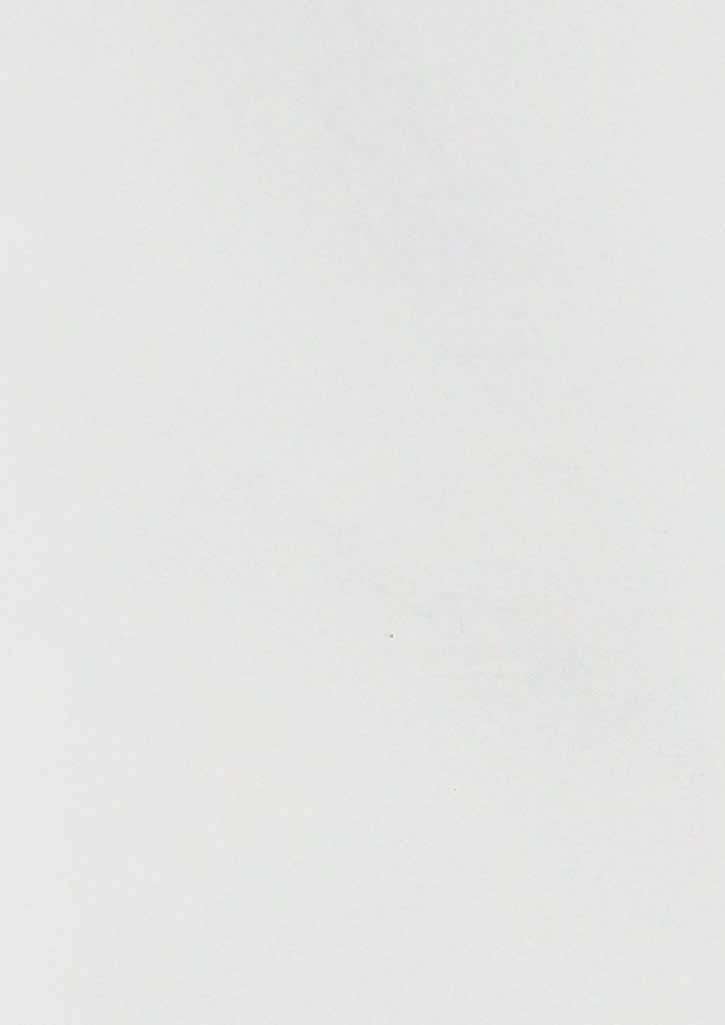 Womens Memphis Long Sleeve Shirt FA-S127LL