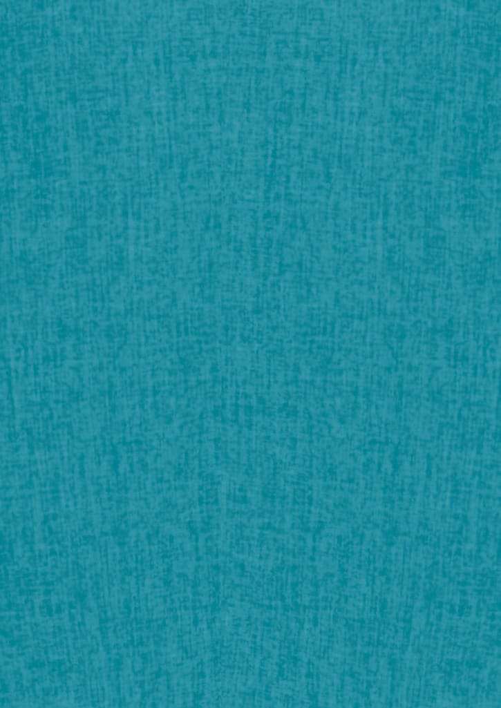 Womens Oasis Overblouse FA-S265LS