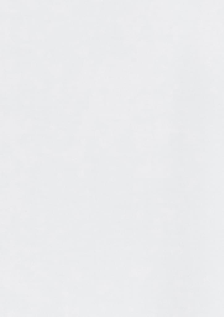 Womens Regent Long Sleeve Shirt FA-S912LL