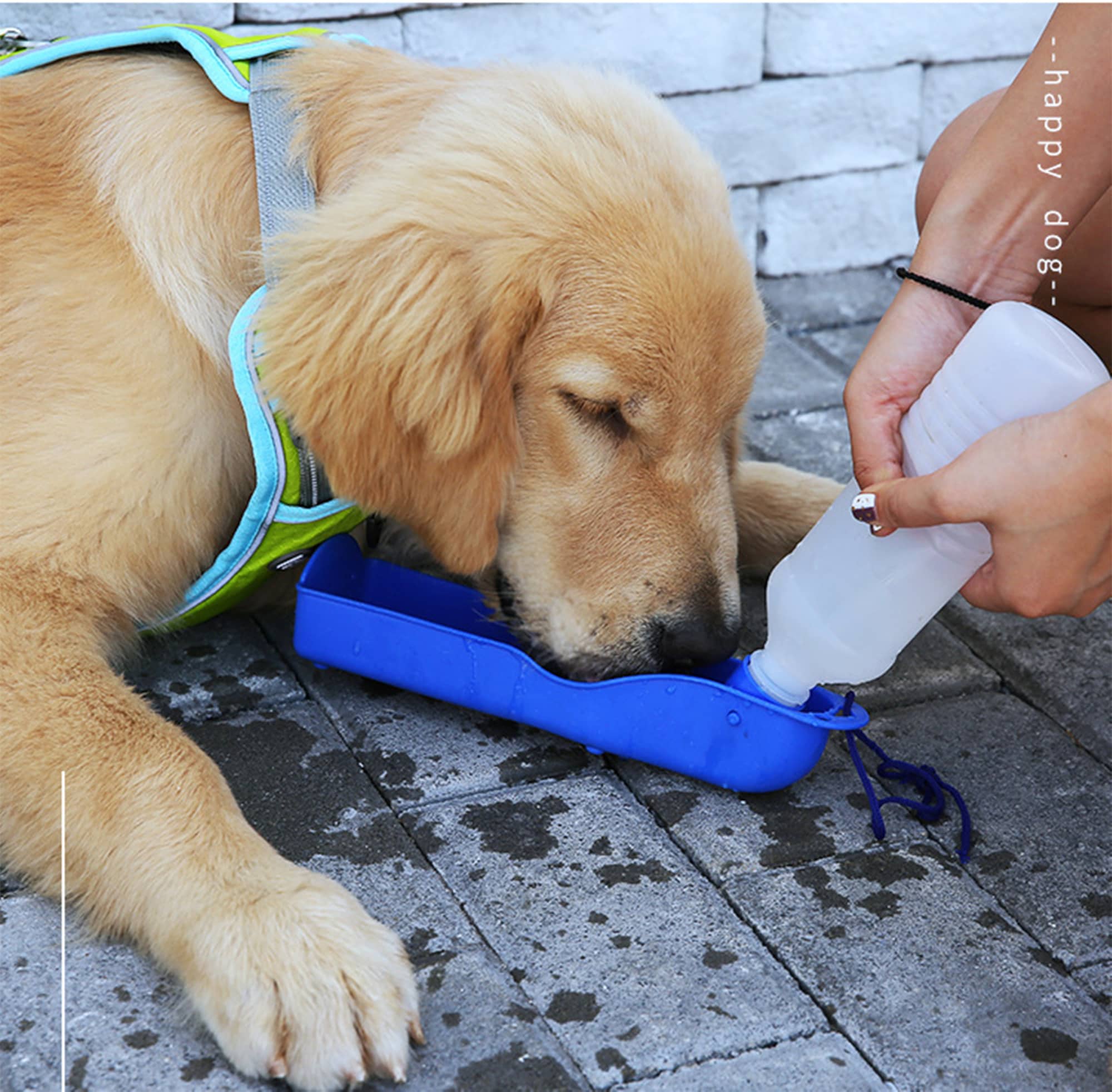 Pet Water Bottle - NW05115 Image 