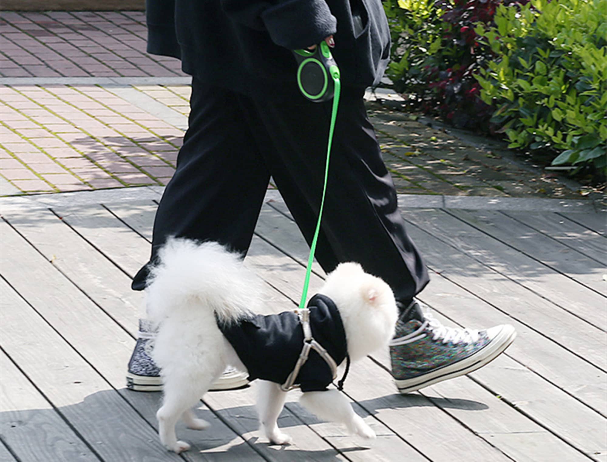 Pet Telescopic Leash - NW05124 Image 